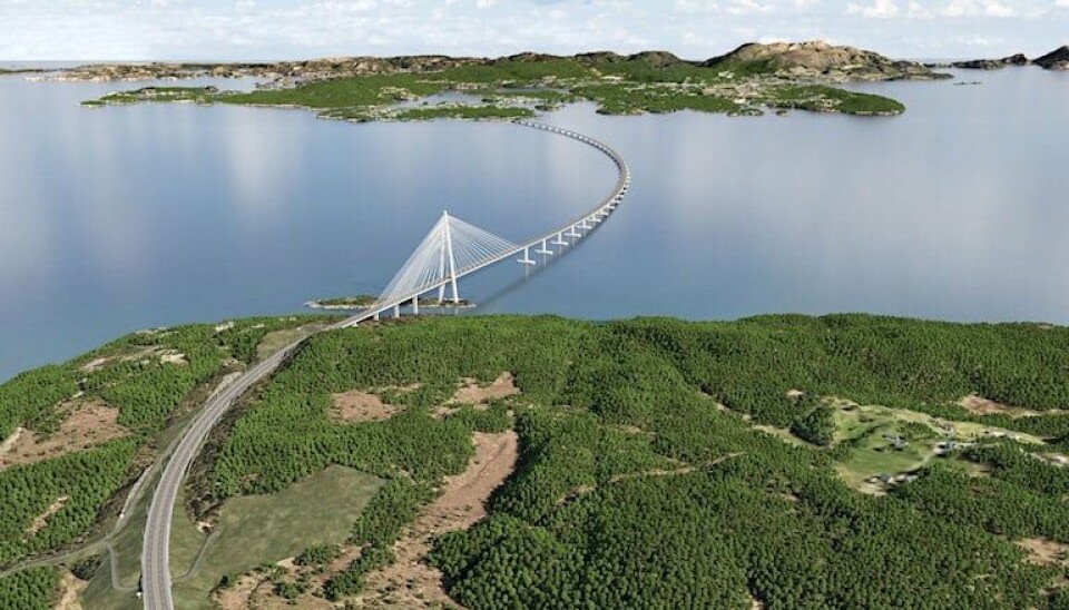 Det er galskap å sløse penger for å ødelegge verdifull vestlandsnatur, mener Sofie Marhaug (Rødt). Brua over Bjørnafjorden blir på om lag 5,5 km og er planlagt som ein kombinasjon av sideforankra flytebru og skråkabelbru. Brua går frå Kaldafoss nord på Reksteren i Tysnes kommune til Gulholmane sør for Røtinga i Bjørnafjorden kommune der vegen fortset i ein 7,7 km lang tunnel. Brua vert Noregs lengste bru, og verdas lengste flytebru. Store skip passerer i sør, medan hurtigbåt passerer under nordre del av brua.
