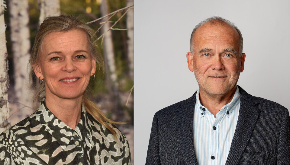 Tre er noe av det mest primære og viktige vi har i en krise, skriver Stine Benedicte Solbakken og Simon Thorsdal i AT Skog. Stine Benedicte Solbakken, Simon Thorsdal, AT Skog, lesarbrev