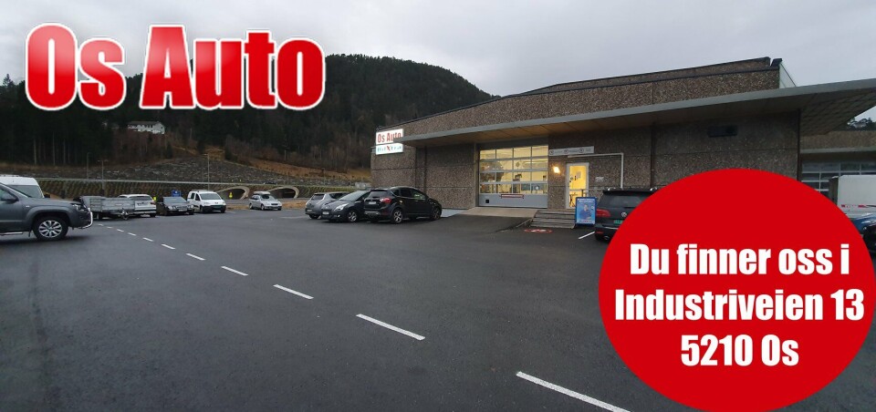 Vi reparerer alle bilmerker!