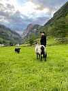 Mats Kolltveit, Tveitakvitingen, Kolltveit Gard