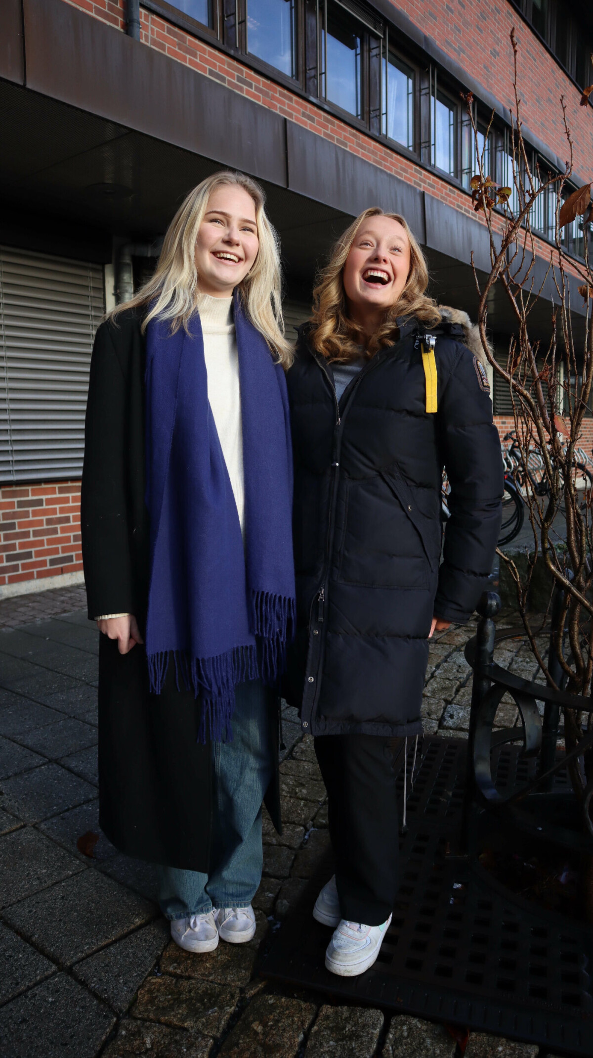 Porno multfilm Qirol sher